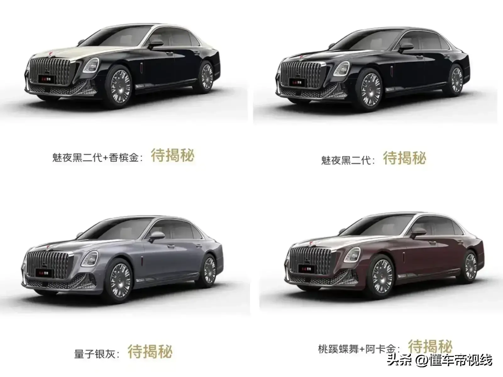 新车 | 售140万元起，红旗国雅正式上市，配升降车头立标/V8混动  -图13