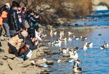 绝不能错过！沈阳20个必玩热门景点  -图8