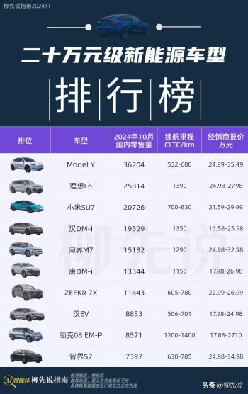 国内二十万元级新能源车：唐DM第6，小米SU7第3，冠军月销超3万辆  -图4