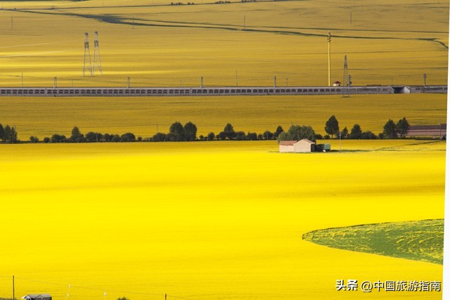 青海十大王牌景点，去过一半以上不简单，全部去过就厉害了！  -图12