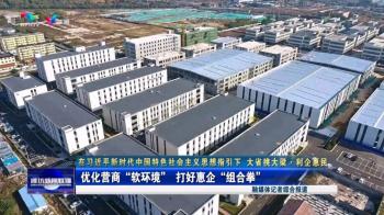 【在习近平新时代中国特色社会主义思想指引下 大省挑大梁·利企惠民】优化营商“软环境” 打好惠企“组合拳”  -图1