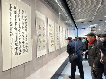 “书印参同·专题学术讨论会 暨当代篆书篆刻展”在安阳举办  -图4